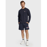 tommy-jeans-longsleeve-chest-logo-DM0DM10102VOG-bleumarin-regular-fit
